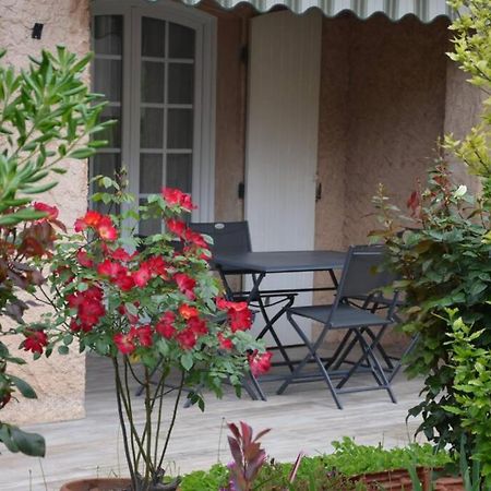 Apartmán Superbe T2 Lumineux 3*** 10 Mn A Pied De La Plage Le Pradet Exteriér fotografie