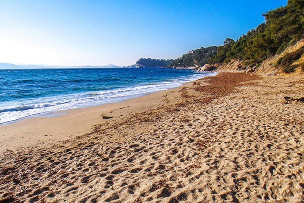 Apartmán Superbe T2 Lumineux 3*** 10 Mn A Pied De La Plage Le Pradet Exteriér fotografie