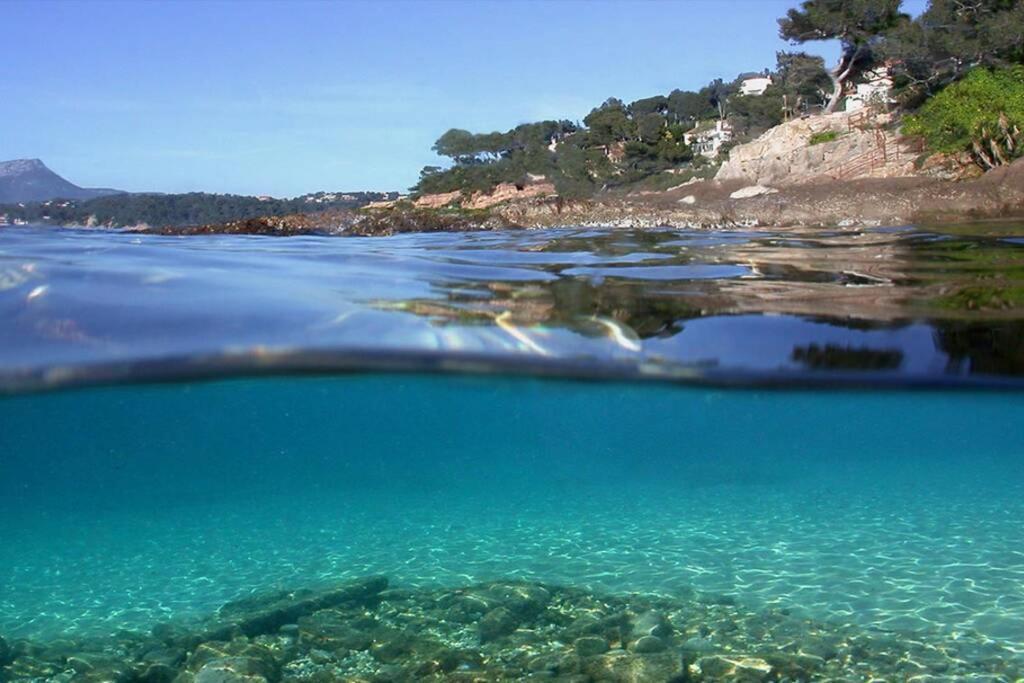 Apartmán Superbe T2 Lumineux 3*** 10 Mn A Pied De La Plage Le Pradet Exteriér fotografie